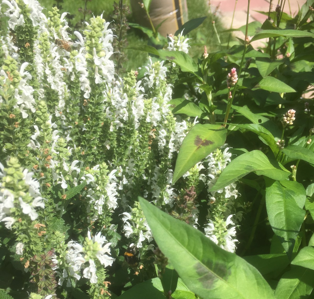 Laat je verrassen; Met minder doen méér betekenen voor de&nbsp;natuur.