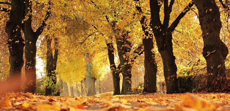 "Wandelen maakt meer los dan je denkt!" 
